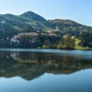 친한행정사사무소 이미지