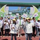 보성장식 이미지