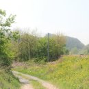 한반도면사무소 이미지