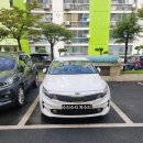 수리수리 차수리 이미지