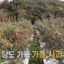 청명농장 이미지