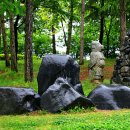 대청호반 이미지