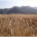 하회마을테마 이미지