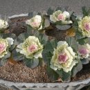 울산 해양박물관 이미지