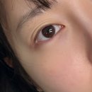 미로호프 | 배곧 속눈썹펌 맛집 블랙틴팅펌 솔직후기