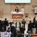 배성종 카카오 검색결과