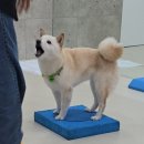 나보다 예쁘개 이미지