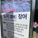 청림가든정금자할매집 | 고창 선운사 풍천장어 맛집 청림정금자할매집 내돈내산 후기