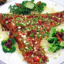 홍어의맛 Daum카페