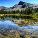 자연-이미지 이미지