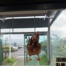 홍가네불타는솥뚜껑 | 석모도 맛집 추천! 강화도 마니산 솥뚜껑닭볶음탕 내돈내산 후기(feat. 위치·주차·예약정보)