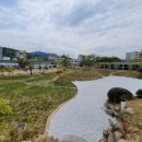 밀주초등학교 이미지