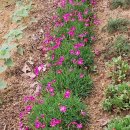 명대농장 이미지