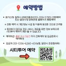 마당발 투어
