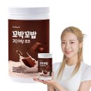 2주 동안 꼬박꼬밥 챙겼더니 생긴 변화🍴🥗 (단백질 쉐이크 다이어트 솔직 후기)