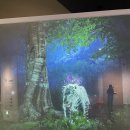 경상북도산림과학박물관(휴관) | 5년 만의 변신! 경북산림과학박물관 재개관 후기!