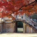 관음송 | 양력(陽曆) 12월 7일은 대설(大雪)입니다.