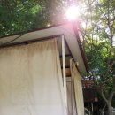 디바인리조트 이미지