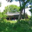 사화당 이미지