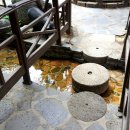 양지말공원 이미지