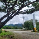 연천만두 | 연천] 연천 해물 손칼국수 묵은지김치만두 맛집 연천...필수코스 &#39;고향손두부손칼국수&#39; 내돈내산 후기