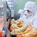 일등유통 이미지