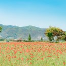 삼문강변로 이미지