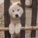 히히 - 고양시 일산서구 대산로 162 | 히히