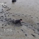 (주)에스디티 이미지