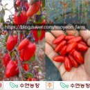 천방산농장 이미지