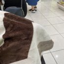 아나파동물병원 이미지