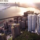 테넌바움294 이미지