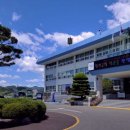 합천초 후문 횡단보도 이미지