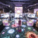 코리아싸인 이미지