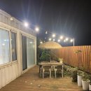 청수리빌레왓 | 제주 에어비앤비 숙소 추천 귤따기 체험 가능 깔끔 감성숙소 빌레왓동 후기