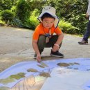 공립모두별어린이집 | 방학3동 국공립 어린이집 l 생태어린이집 l 24절기 l 5세 후기