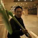 최가네먹거리