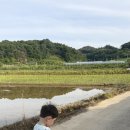 왓따짬뽕