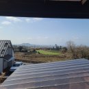 제주 플로라 이미지