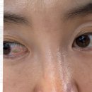 잘보는성모안과의원 이미지