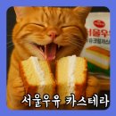 GS25 나인트리호텔점 이미지
