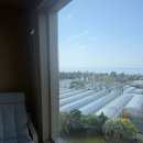지평선_부티끄 | Jeju :: 금오름 • 성이시돌목장 • 돈블랙 • 가성비 서귀포숙소 추천: 노토라 No.42 🏡