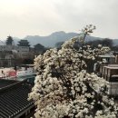 코리아나목욕탕 이미지