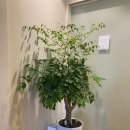 광교호수정신건강의학과의원 이미지