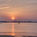 사우스마린스파펜션 이미지