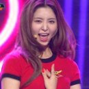 닭발상사