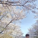 남동144 Daum카페