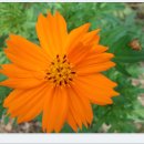 기영농장 이미지