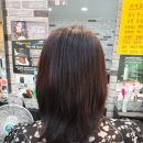 그레이스헤어 네이버블로그