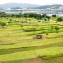 양평파크골프장 이미지